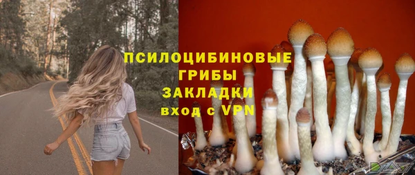 гидропоника Балабаново